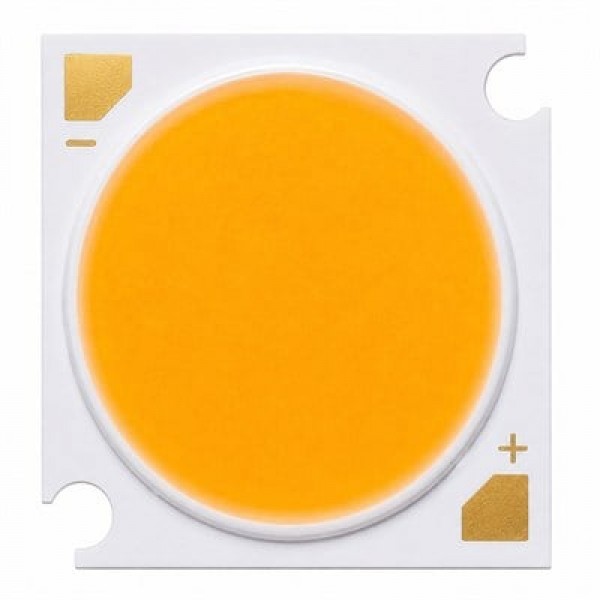  Powermaster PM-38836 LC019D RA80 3000K 19x19mm Gün Işığı Cob Led