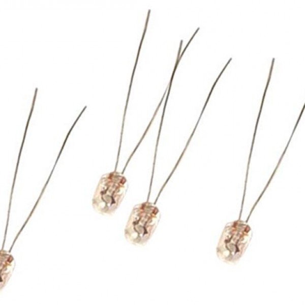 12V OTO TEYP AMPÜLÜ