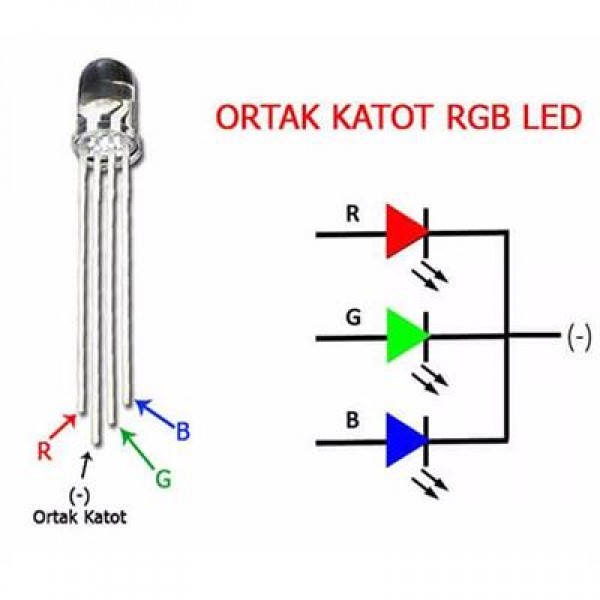 Powermaster 1592-5Mm RGB Led 4 Pin Ortak Katot