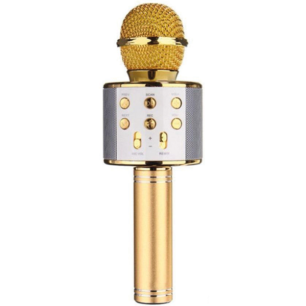 POWERMASTER PM-17185 BLUETOOTH-SD-AUX-FM KABLOSUZ KARAOKE MİKROFON POWERMASTER PM-17185 BLUETOOTH-SD-AUX-FM KABLOSUZ KARAOKE MİKROFON