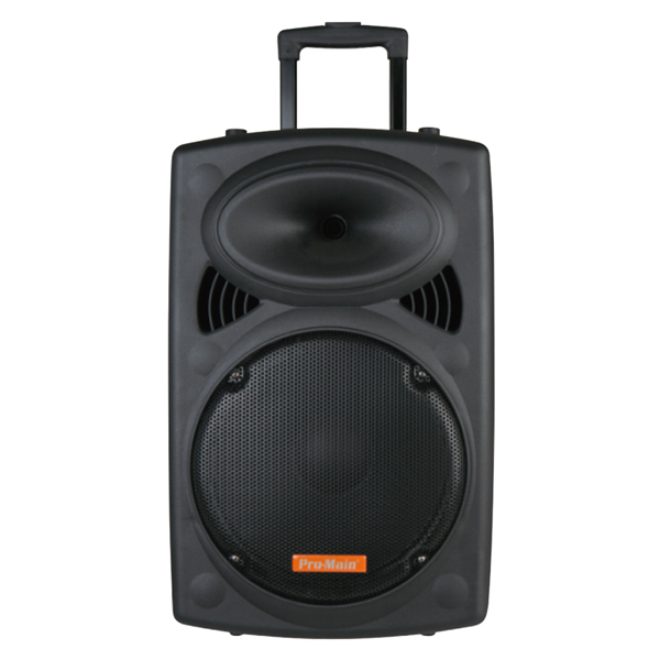 PROMAIN MPS-120PBIII 30 CM 50 WATT ÇİFT YOLLU PLASTİK/ÇEK ÇEKLİ/ PASİF HOPARLÖR PROMAIN MPS-120PBIII 30 CM 50 WATT ÇİFT YOLLU PLASTİK/ÇEK ÇEKLİ/ PASİF HOPARLÖR
