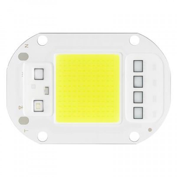 PowerMaster PM-19479 Projektör 50 Watt Beyaz Led 4060 AC220V 60x40mm PowerMaster PM-19479 Projektör 50 Watt Beyaz Led 4060 AC220V 60x40mm