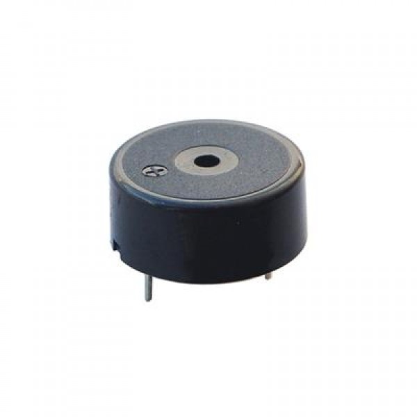 PowerMaster IC-220 Buzzer 12 - 24 Volt Dc 23 Mm Devreli