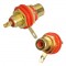 IC-261C Rca Gold Şase