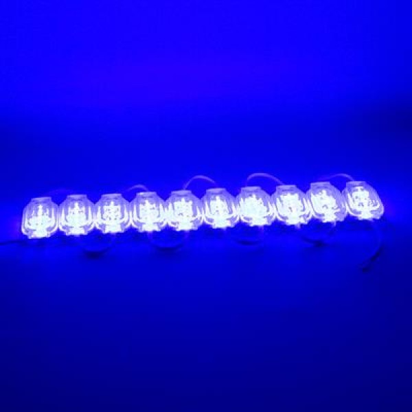 Powermaster 12 Volt 0.6 Watt Mavi 2835 65 X 25 Mm IP65 120 Lümen 160 Derece Modül Led Powermaster 12 Volt 0.6 Watt Mavi 2835 65 X 25 Mm IP65 120 Lümen 160 Derece Modül Led