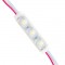 Powermaster 12 V 1.5 Watt Gün Işığı 2835 Modül Led 70x15mm
