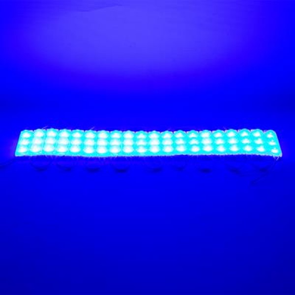 Powermaster 12 Volt 1.5 Watt Mavi 2835 69 X 16 Mm IP65 160 – 180 Lümen 160 Derece Modül Led Powermaster 12 Volt 1.5 Watt Mavi 2835 69 X 16 Mm IP65 160 – 180 Lümen 160 Derece Modül Led