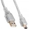 Powermaster USB 2.0 Şeffaf 5 Metre Usb AM Mini 5 Pin Kablo