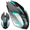 Everest SM-G72 Işıklı USB Kablolu Optik Oyuncu (Gaming) Mouse