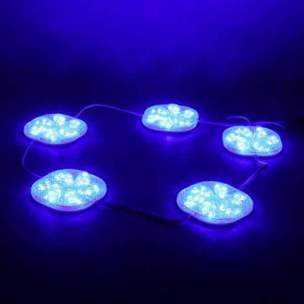 PowerMaster PM-14706 12 Volt 3 Watt Mavi Sabit 6565-2835 Modül Led 65x65x12mm