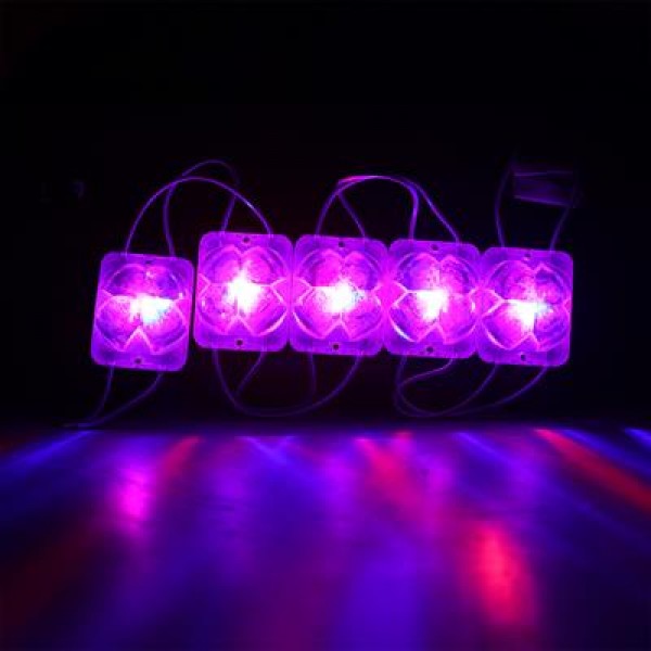 Powermaster PM-14717 12 Volt 2 Watt Karışık (R+B) Yanıp Sönen Çakar 4333-3030 Modül Led 43x33x28mm