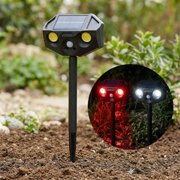 PowerMaster PM-29074 Beyaz ve Kırmızı Renkli Hareket Sensörlü Solar Bahçe Aydınlatması PowerMaster PM-29074 Beyaz ve Kırmızı Renkli Hareket Sensörlü Solar Bahçe Aydınlatması
