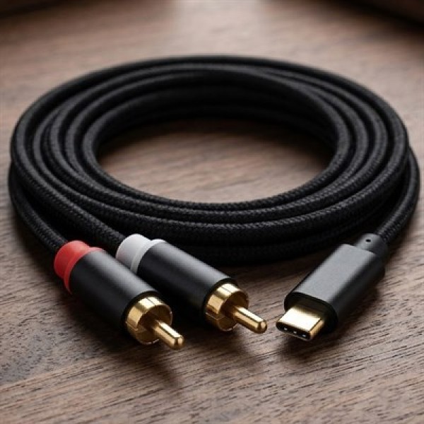 Powermaster PM-29963 USB Type-C Erkek to 2x RCA Erkek Stereo 2 Metre Ses Aktarım Kablosu 