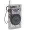 Roxy RXY-Turbo Cep Tipi Mini Analog Fm Radyo